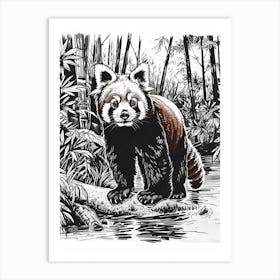 Red Panda Standing On A Riverbank Ink Illustration 2 Art Print