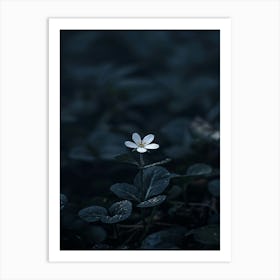 White Flower In The Dark 9 Art Print