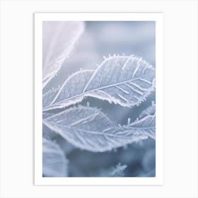 Frosty Leaves 1 Art Print