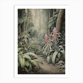 Vintage Jungle Botanical Illustration Bromeliads 4 Art Print