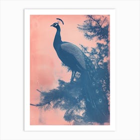 Pink & Blue Peacock Portrait Cyanotype Style   2 Art Print