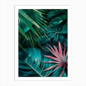 Tropical Leaves 3 Art Print