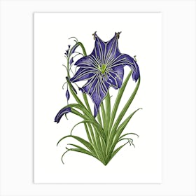 Spiderwort Wildflower Vintage Botanical Art Print