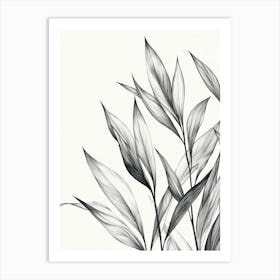 Black And White Leaves 5 Art Print