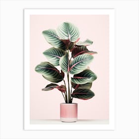 Eucalyptus Art Print