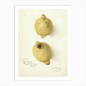 Two Lemons 2 Art Print