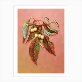 Vintage Cherry Botanical Art on Peach Pink n.1855 Art Print