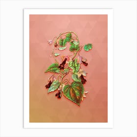 Vintage Twinning Red Cloak Flower Botanical Art on Peach Pink n.0990 Art Print