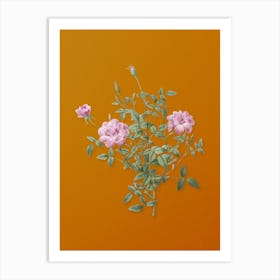 Vintage Dwarf Rosebush Botanical on Sunset Orange n.0522 Art Print