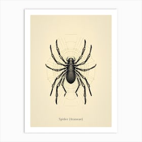 Vintage Spider Poster Art Print