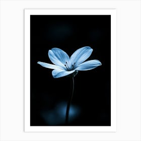 Blue Flower 6 Art Print