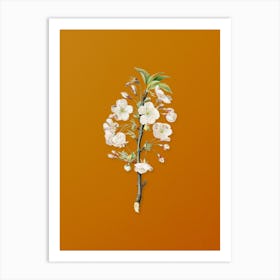 Vintage Pear Tree Flowers Botanical on Sunset Orange n.0291 Art Print