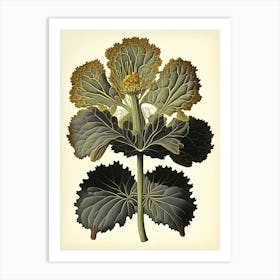 Coltsfoot Herb Vintage Botanical Art Print