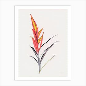 Heliconia Floral Minimal Line Drawing 4 Flower Art Print