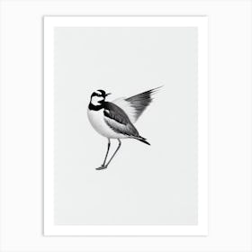 Lapwing B&W Pencil Drawing 1 Bird Art Print