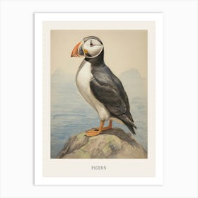 Vintage Bird Drawing Pigeon 7 Poster Art Print