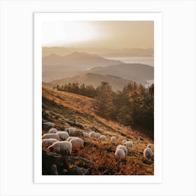 Sheep On Hillside Art Print