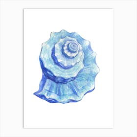 Blue Sea Shell Art Print