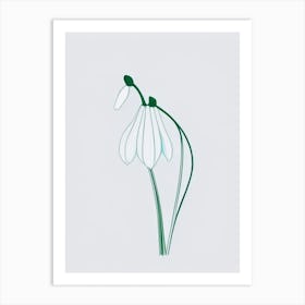 Snowdrop Floral Minimal Line Drawing 2 Flower Art Print