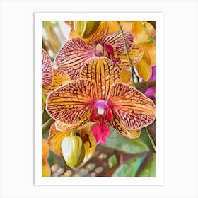 Moth Orchid Art Print