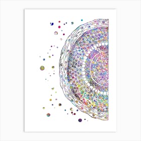 Cross Section Of Human Hair Watercolor Art Print