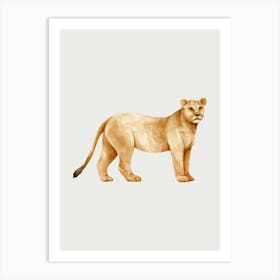 Lion. Art Print