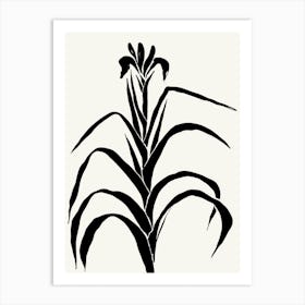Irises Black and White Botanical Art Print