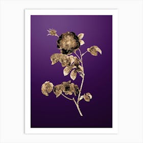 Gold Botanical Rose on Royal Purple n.4109 Art Print