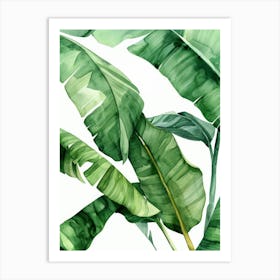 Green Banana Leaves Art Print