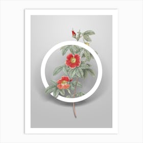 Vintage Single May Rose Minimalist Flower Geometric Circle on Soft Gray n.0225 Art Print