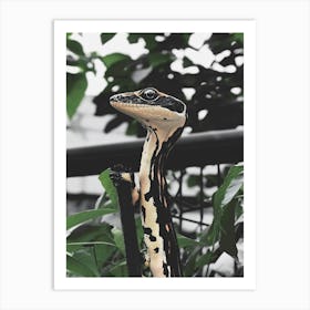 Lizard 5 Art Print