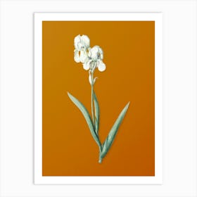 Vintage Tall Bearded Iris Botanical on Sunset Orange n.0620 Art Print