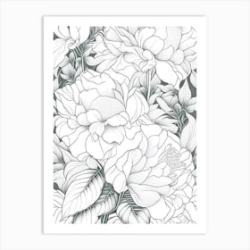 Gardenia Peonies White 2 Drawing Art Print