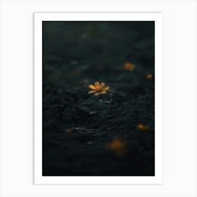 Flower In The Dark 49 Art Print