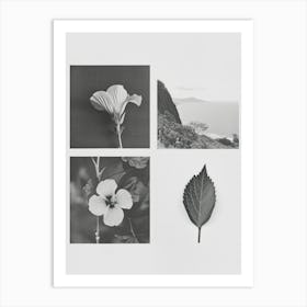 Hibiscus Flower Photo Collage 3 Art Print