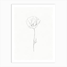 Poppy Flower Drawing Art Print