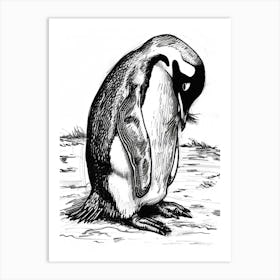 Emperor Penguin Preening Their Feathers 3 Art Print