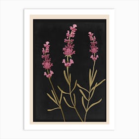 Sprigs Of Lavender 2 Art Print