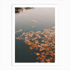 Autumn Leaves On Pond Art Print