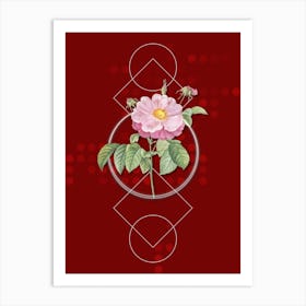 Vintage Speckled Provins Rose Botanical with Geometric Line Motif and Dot Pattern n.0235 Art Print