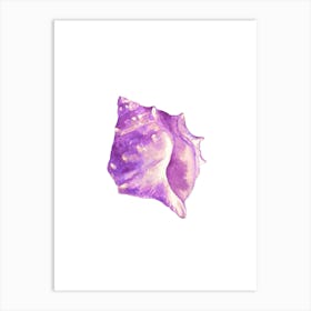 Purple Conch Shell Art Print