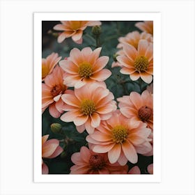 Dahlias 1 Art Print