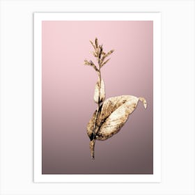 Gold Botanical Indian Shot on Rose Quartz n.0375 Art Print