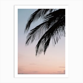Palm Tree Silhouette Art Print