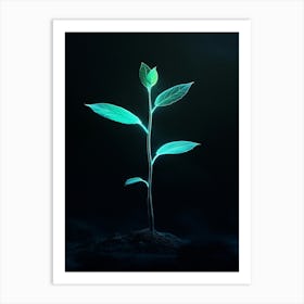 Green Plant In The Dark 4 Art Print