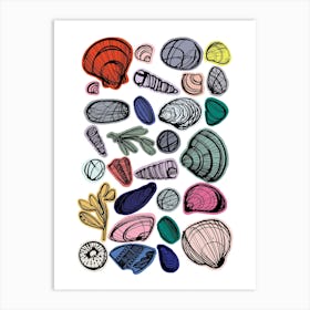 Seashells Art Print