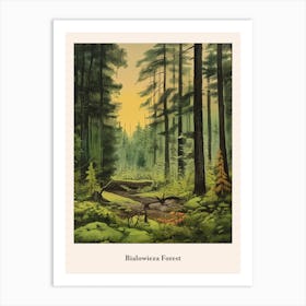 Bialowieza Forest Art Print