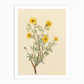 Yellow Flowers Art Print