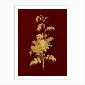 Vintage Alpine Rose Botanical in Gold on Red Art Print
