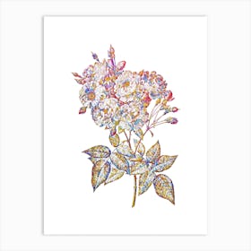Stained Glass Noisette Roses Mosaic Botanical Illustration on White n.0353 Art Print